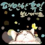 늘, 함께해요.. 반려묘의 사랑메세지