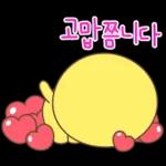 순딩이 초코의 하루 3