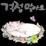 늘, 함께해요.. 반려묘의 사랑메세지