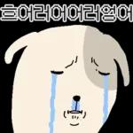 표정으로 말하는 뽀삐