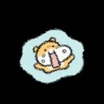 햄수탑니다! 6