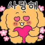 감사해요~Pooge.