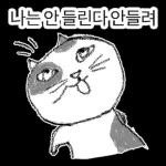 점냥아 오늘만 참자