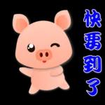 可愛粉粉豬 - 日常實用語