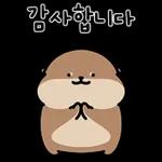 오동통통 서달이 등장! 7 