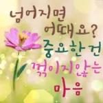 플라워힐링메세지 2