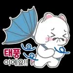 꼬몽이의 여름일기