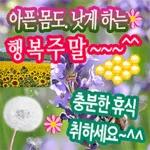 인생에 덕담 한 잎~,,,