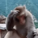 해 볼까해 볼까해 볼까?