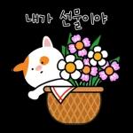 오늘도 내일도 귀여운 뽀다