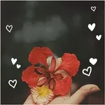 오늘도 행복하세	💜💜💜