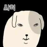 표정으로 말하는 뽀삐