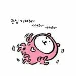 sinan
THE Cositors
临