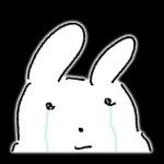 내 이름은 보보야