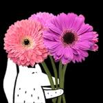 이야기 꽃이 피었습니다 