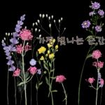 鲜艳꽃束问候表情包2