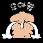 갱상도 갱아지에 사랑고백! 2