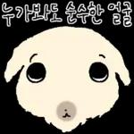 흘긋흘긋 털강아지