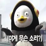 (이게 무슨 소리?)