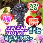 인생에 덕담 한 잎~,,,