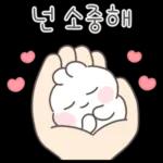 연소정해