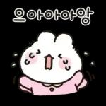 사랑둥이 애기토끼 앙토!