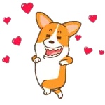 사랑합니다   ❤️