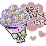 나 말티즈 김두부, 예쁘게 말한다!