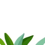 🌺아침인사 드립니다~🌺잘 주무셨나요~^^