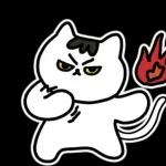 찌코는 안친해!