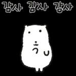 곰배야 놀자