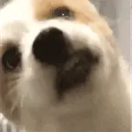 오늘 하루, 사랑도 돈도 다 잡을 거예요!