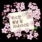 따뜻한 마음 봄꽃 엽서