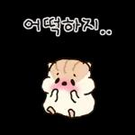 콩닥콩닥 사랑둥이 햄뚜둥이