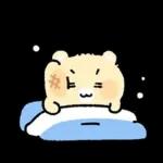 슈퍼햄찌 내가 왔다! 3