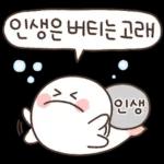 다정함은 고래도 춤추게 한다! 