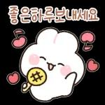 포근버니