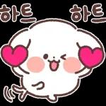 아기 강아지 '뭉이' 하트 하트