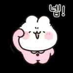 사랑둥이 애기토끼 앙토!