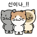 댕냥이는 오늘도 해피해피해!