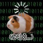 기여븐 기니햄짤.zip