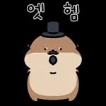 오동통통 서달이 등장! 7 