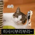 냥이짤방.jpg