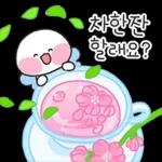 알록달록 꽃과 함께하는 봄날