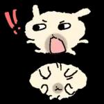 흘긋흘긋 털강아지