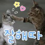 고양이다냥
