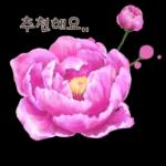 鲜艳꽃束问候表情包2