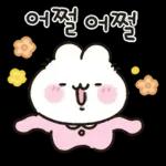 사랑둥이 애기토끼 앙토!