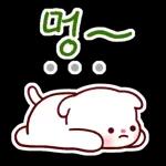 비만 댕댕이의 라이프스타일