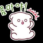 비만 댕댕이의 라이프스타일